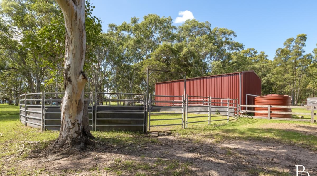 16 Oakbanks Place, WORRIGEE, NSW 2540 AUS
