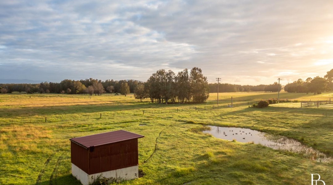 16 Oakbanks Place, WORRIGEE, NSW 2540 AUS