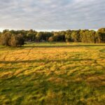 16 Oakbanks Place, WORRIGEE, NSW 2540 AUS