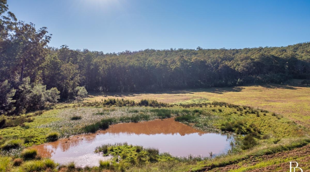 967 Yalwal Road, BAMARANG, NSW 2540 AUS
