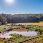 967 Yalwal Road, BAMARANG, NSW 2540 AUS