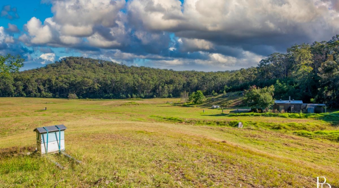 967 Yalwal Road, BAMARANG, NSW 2540 AUS