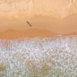 83 Tingira Crescent, KIAMA, NSW 2533 AUS