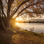 2 Southern Road, TERARA, NSW 2540 AUS