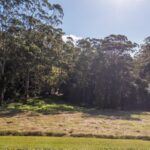 555 Tourist Road, BELLAWONGARAH, NSW 2535 AUS