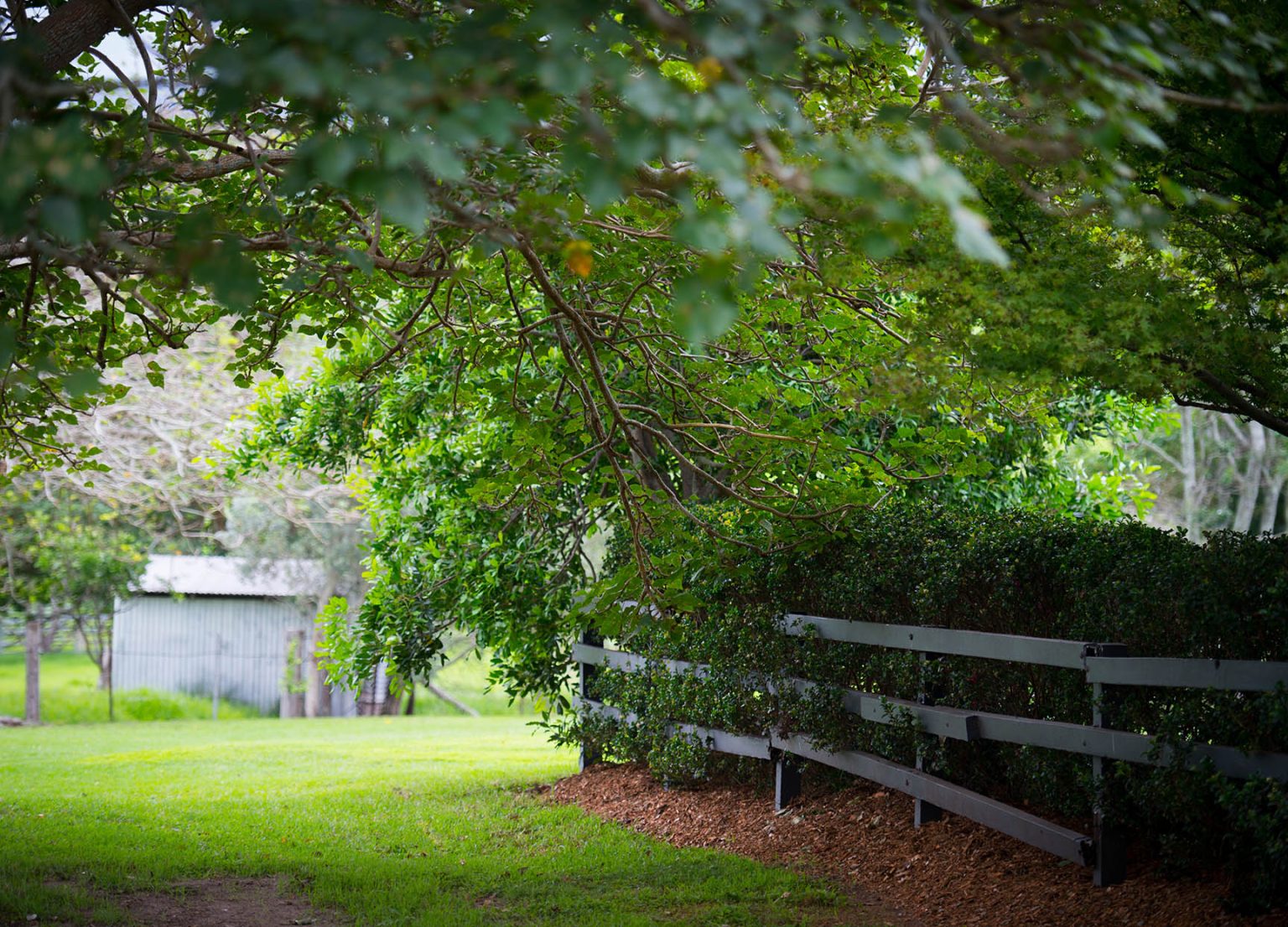 Berry Bond Lifestyle Properties